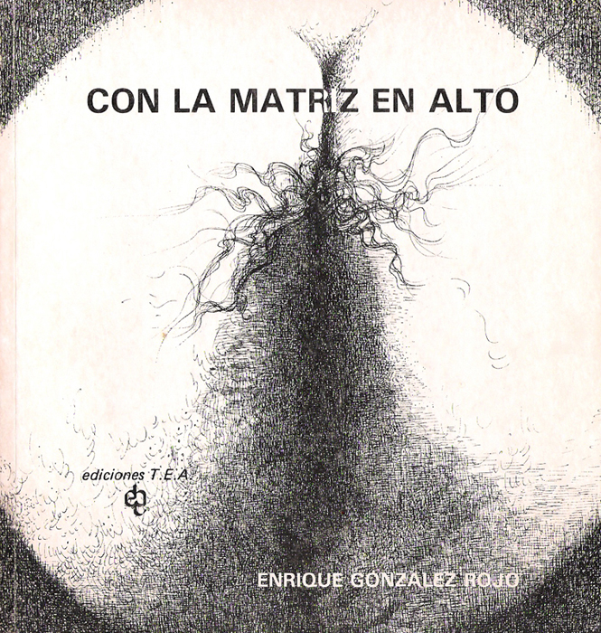 Obra Leticia Ocharn